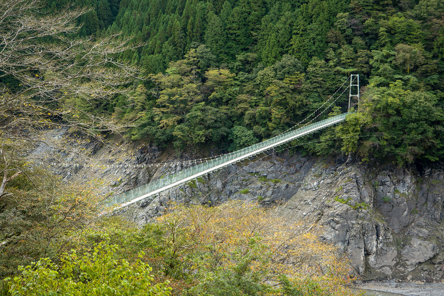 奥秩父・大洞川吊り橋の現在と危険度！渡れる噂の真相を現場検証【2026】