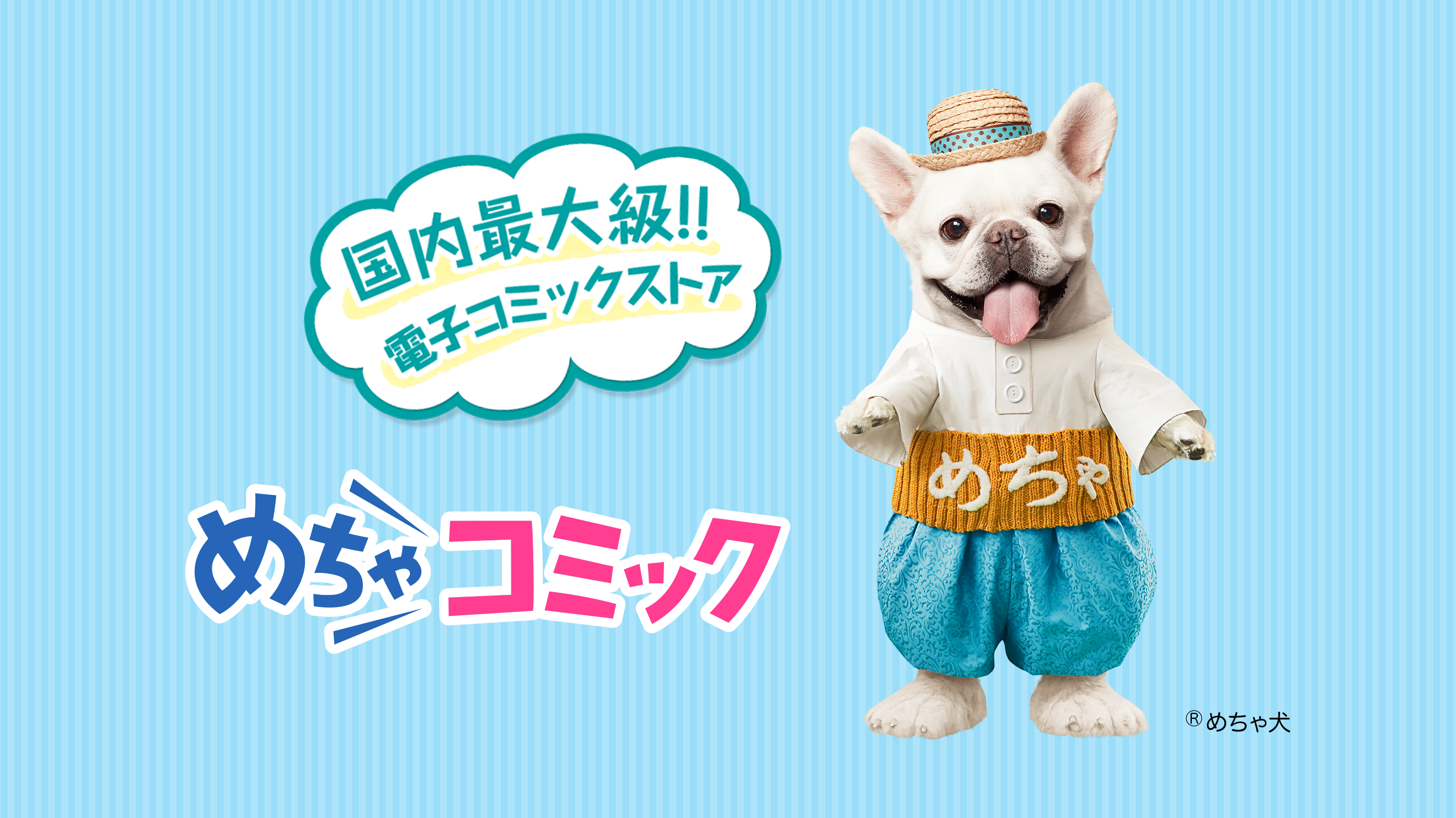 めちゃコミックの評判と料金の落とし穴｜Webとアプリの違いを解剖