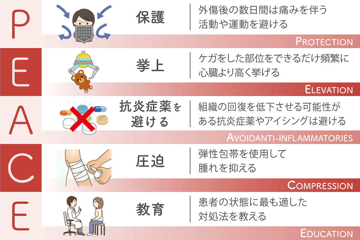 怪我を早く治す新常識2026｜消毒は逆効果？最短で傷を消す技術