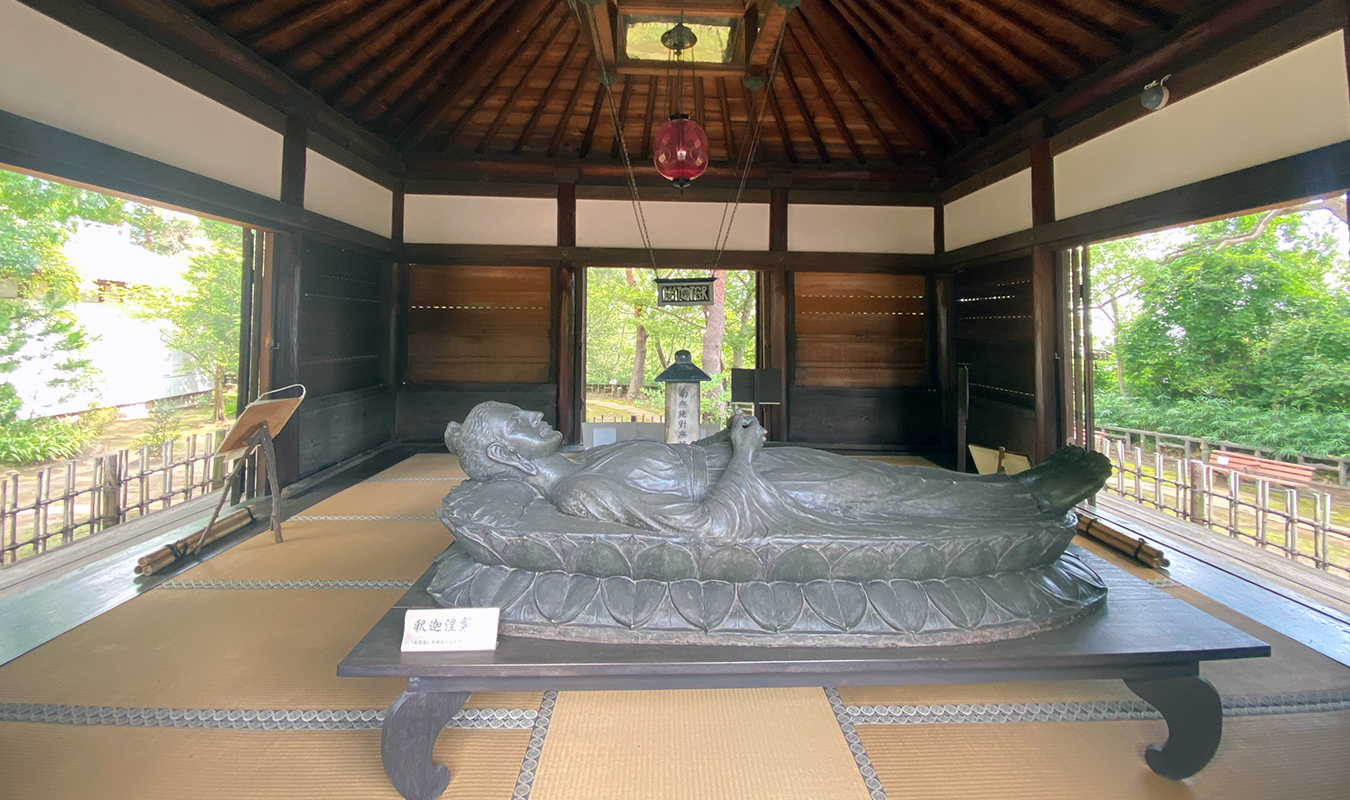 桑田佳祐の食道癌ステージと生還の記録！奇跡の復活劇と現在の真相