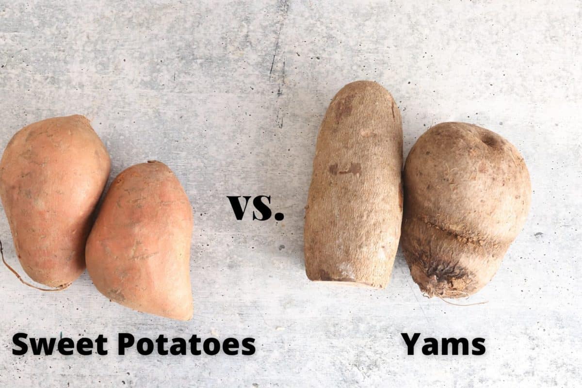 Is There a Difference Between a Yam and Sweet Potato