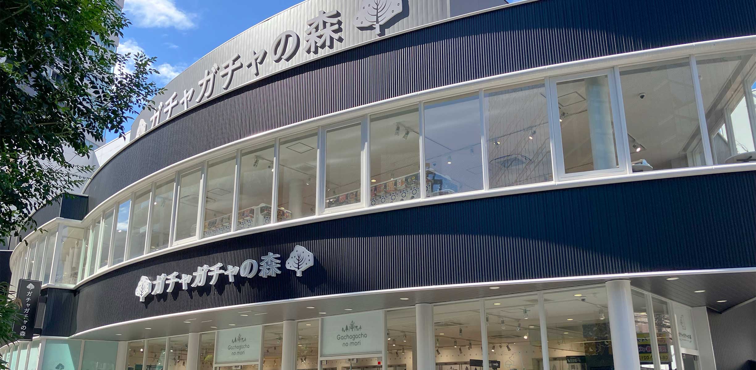 ガチャガチャの森の魅力と違いを徹底解剖！2026年最新店舗＆入荷情報