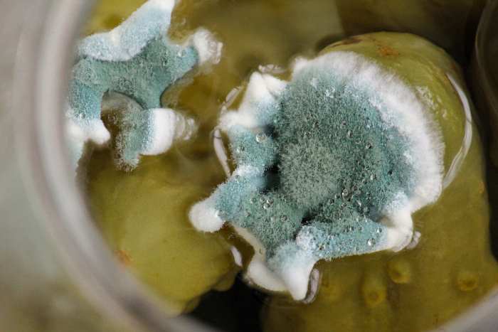 Do Jar Pickles Go Bad