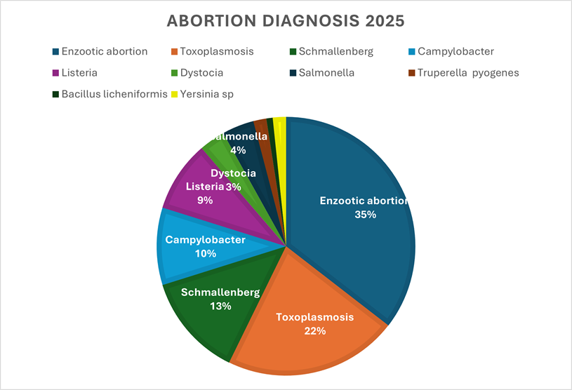 Statistics Reasons for Abortion