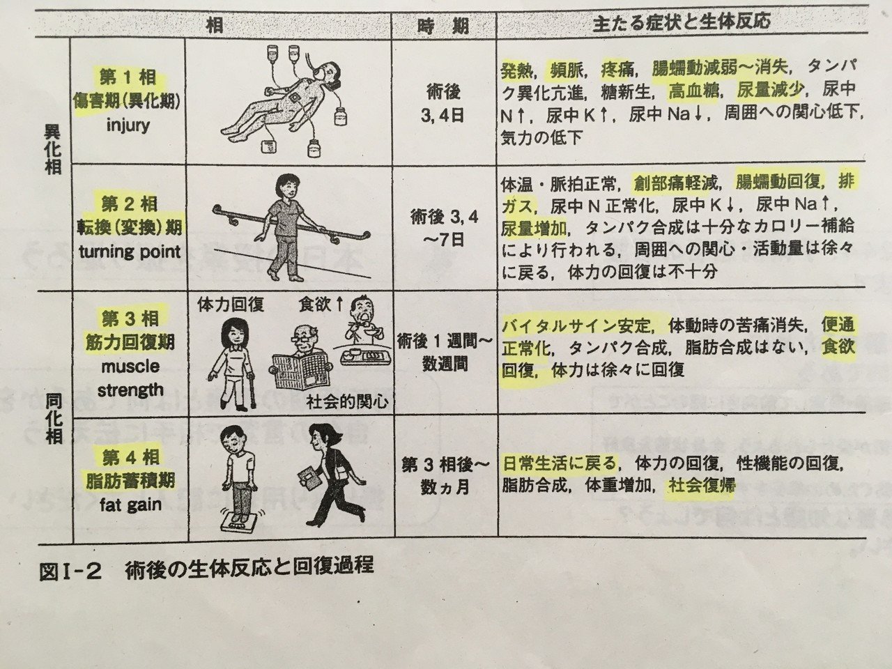 ムーアの分類を完全図解！4病相の生体反応と国試・現場の重要ポイント