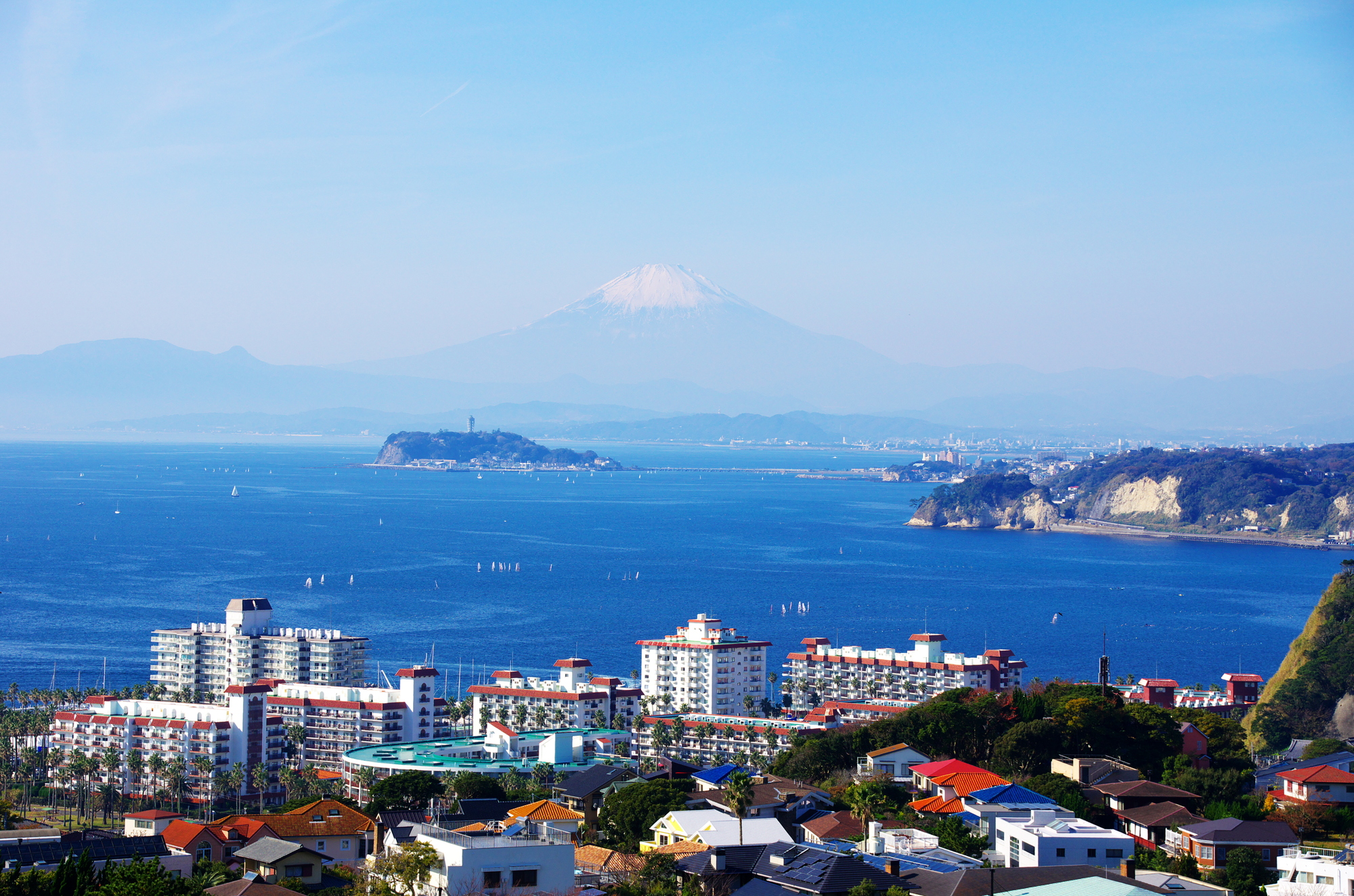 日本のビバリーヒルズ披露山住宅が誇る最新坪単価と資産価値の全貌