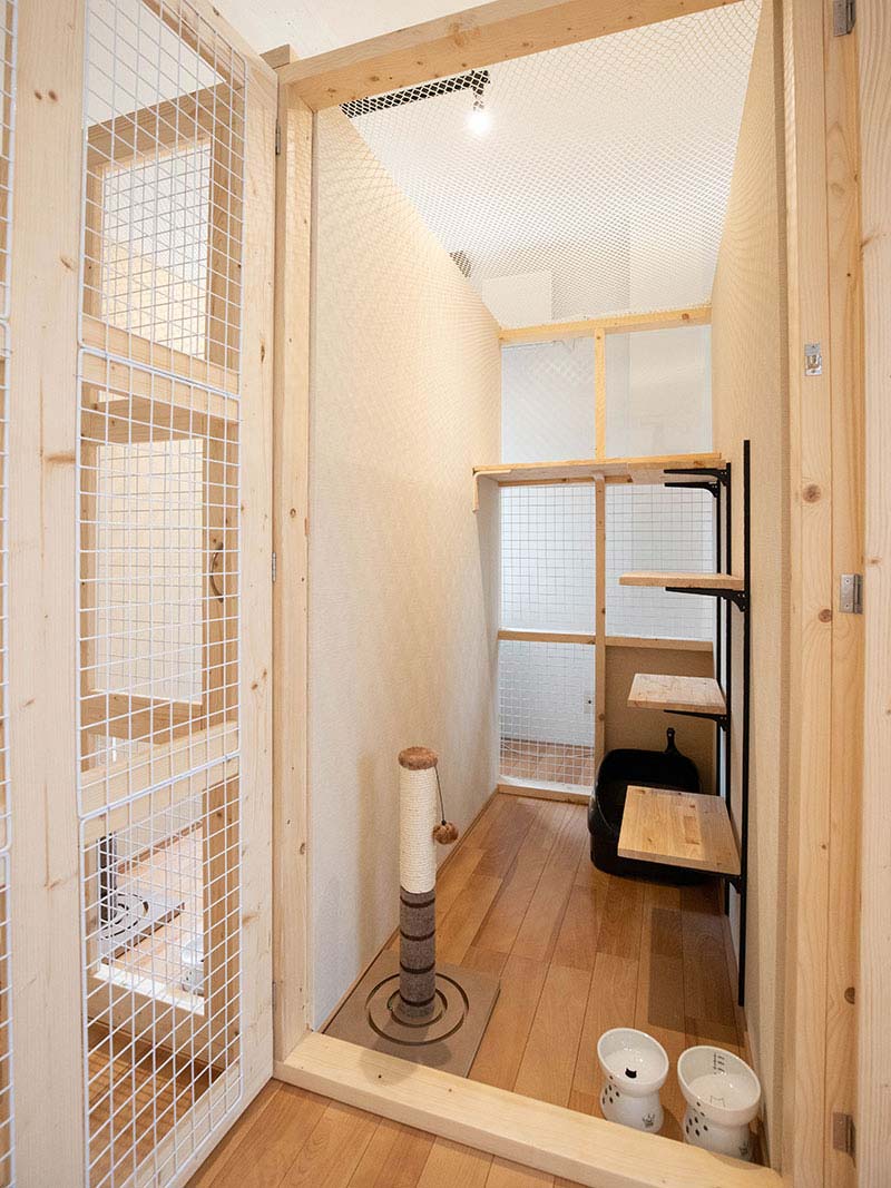 大阪で愛猫が安らぐ猫専用ホテル徹底比較！獣医連携とカメラの真価