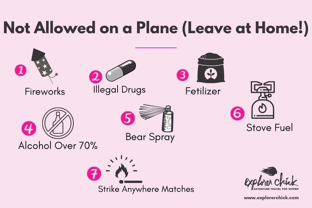 Things You Can't Take on the Airplane