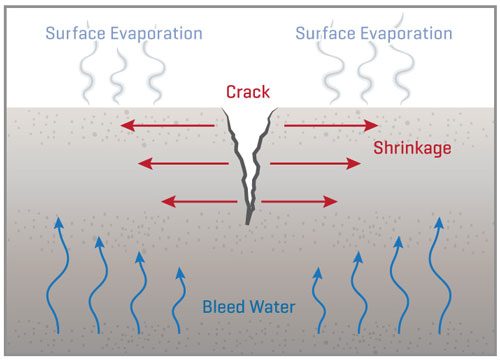 Loss of Water Causing Something to Shrink
