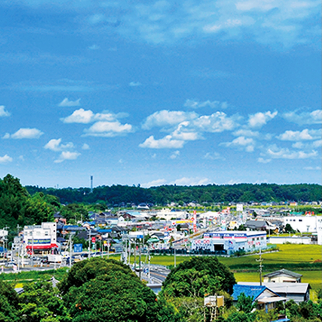 成田隣接の多古町が今熱い！幻の米と移住急増のリアル検証【2026】