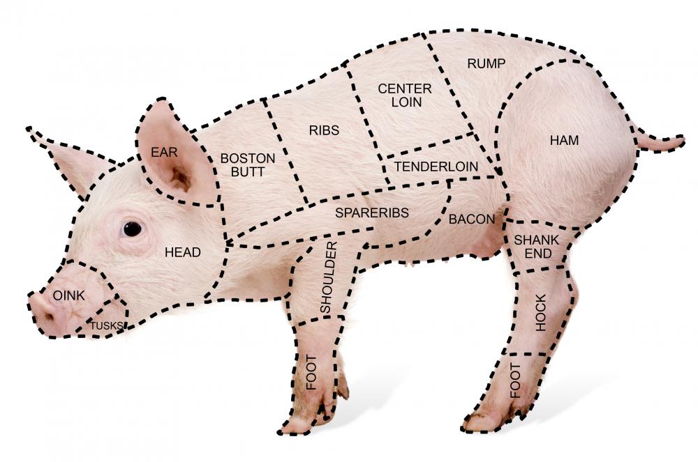 Where Is the Pork Shank
