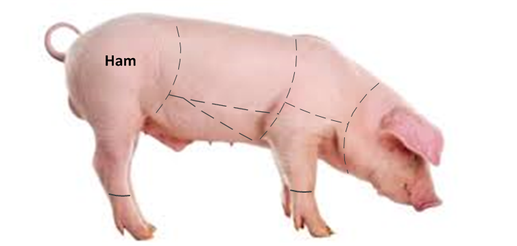 Where Does Ham Come From