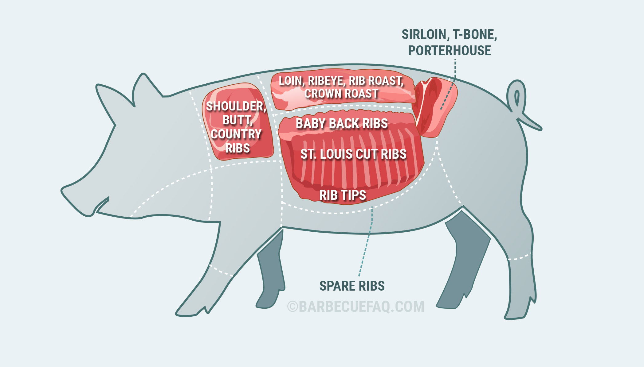 Do Ribs Come from Pigs or Cows