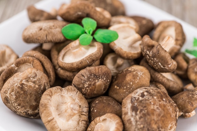 Eat Shiitake Mushrooms Raw