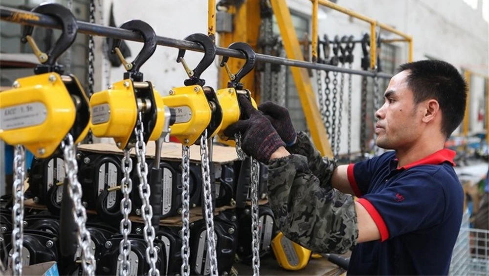 Chain Blocks Shackles Inspection Steel Plant