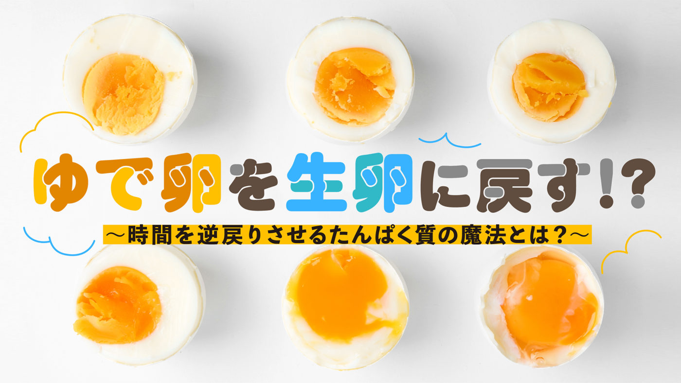ゆで卵を生卵に戻す方法は実在？イグノーベル賞の仕組みと自宅再現性