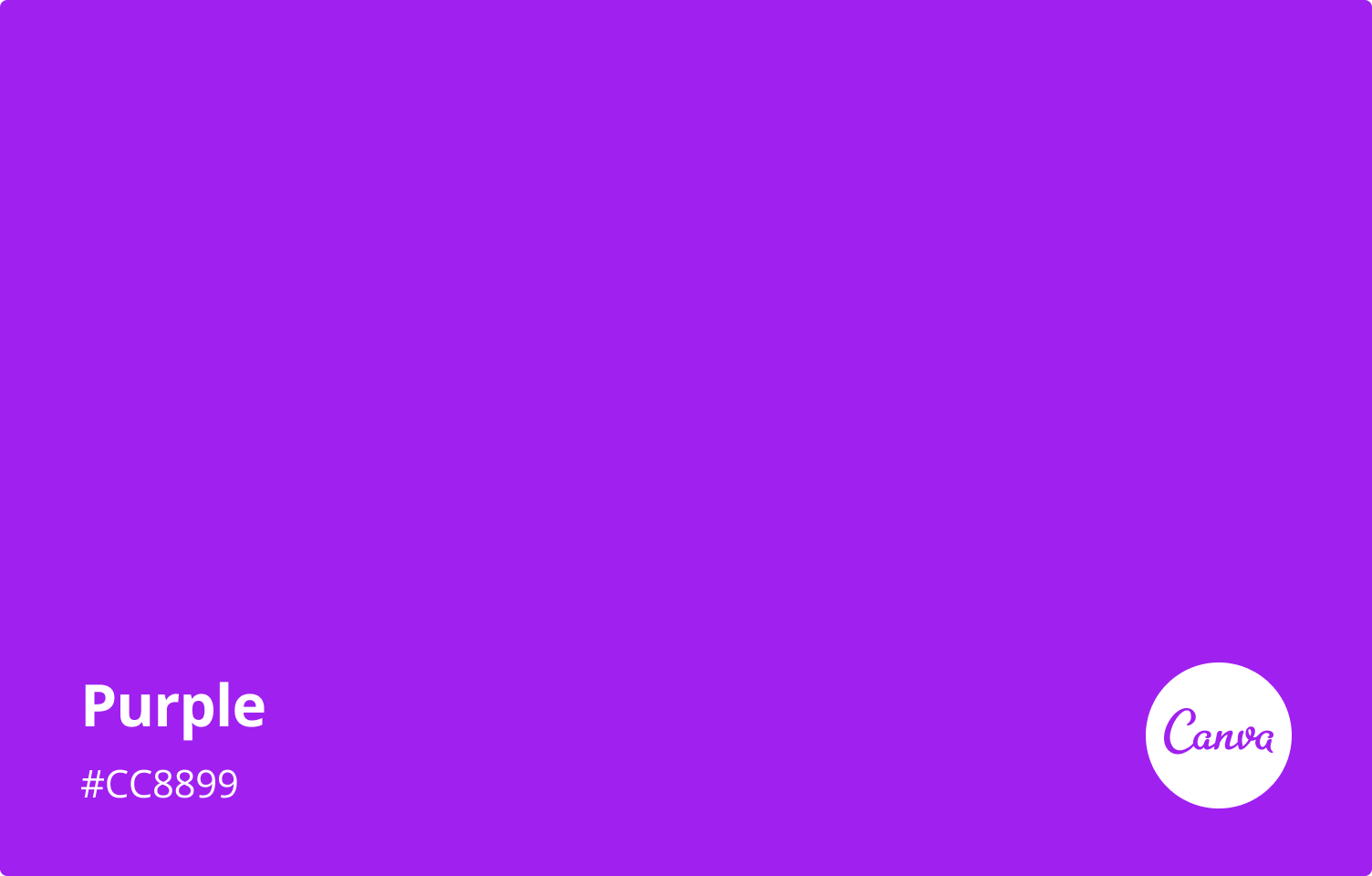 What Is Colour Purple