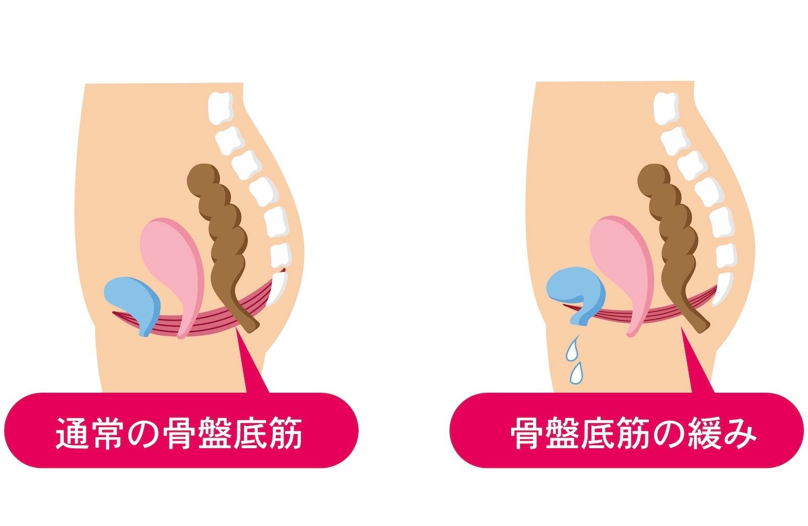 話題のチナラとは？意味と効果や噂の真相を徹底検証【2026最新】