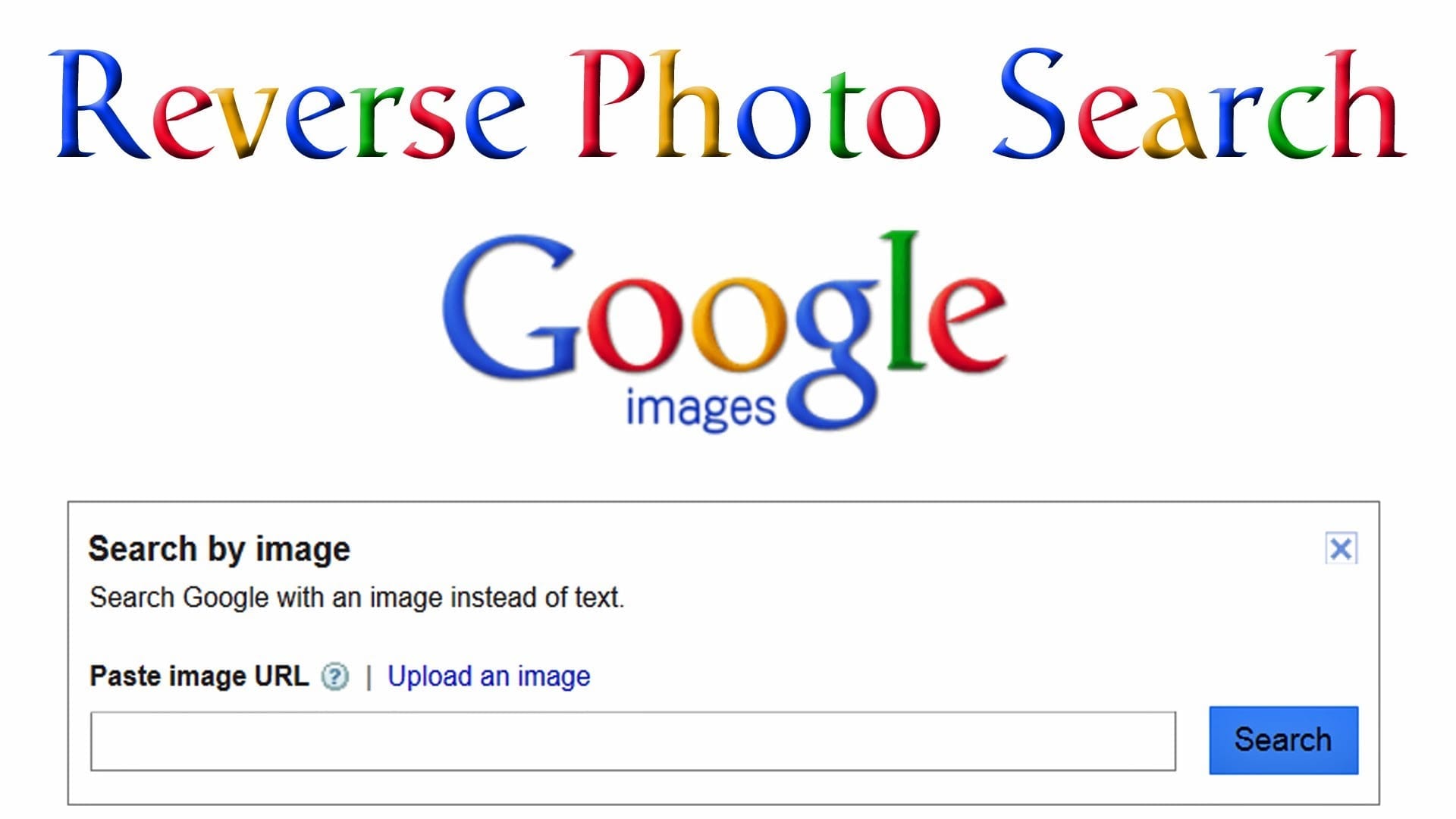 Google Reverse Pic