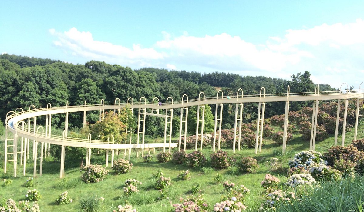 青森・五所川原の現在地｜立佞武多と文豪の街が放つ圧倒的熱狂