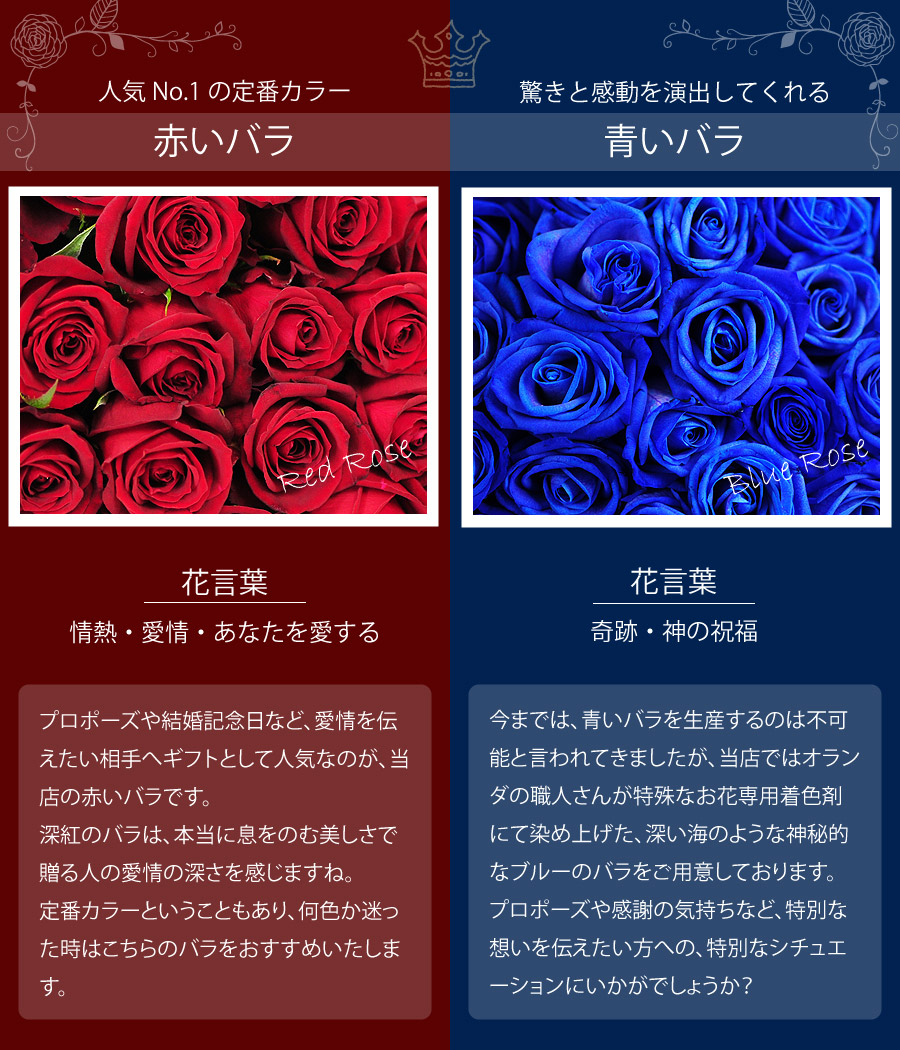 青い薔薇の意味と花言葉｜「不可能」から「夢かなう」へ激変した全真相