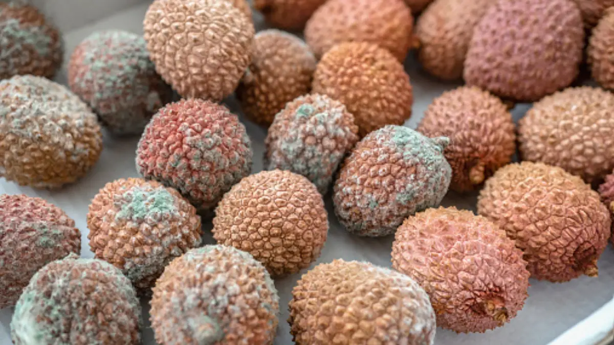 Can You Eat Lychee with Mold on Skin