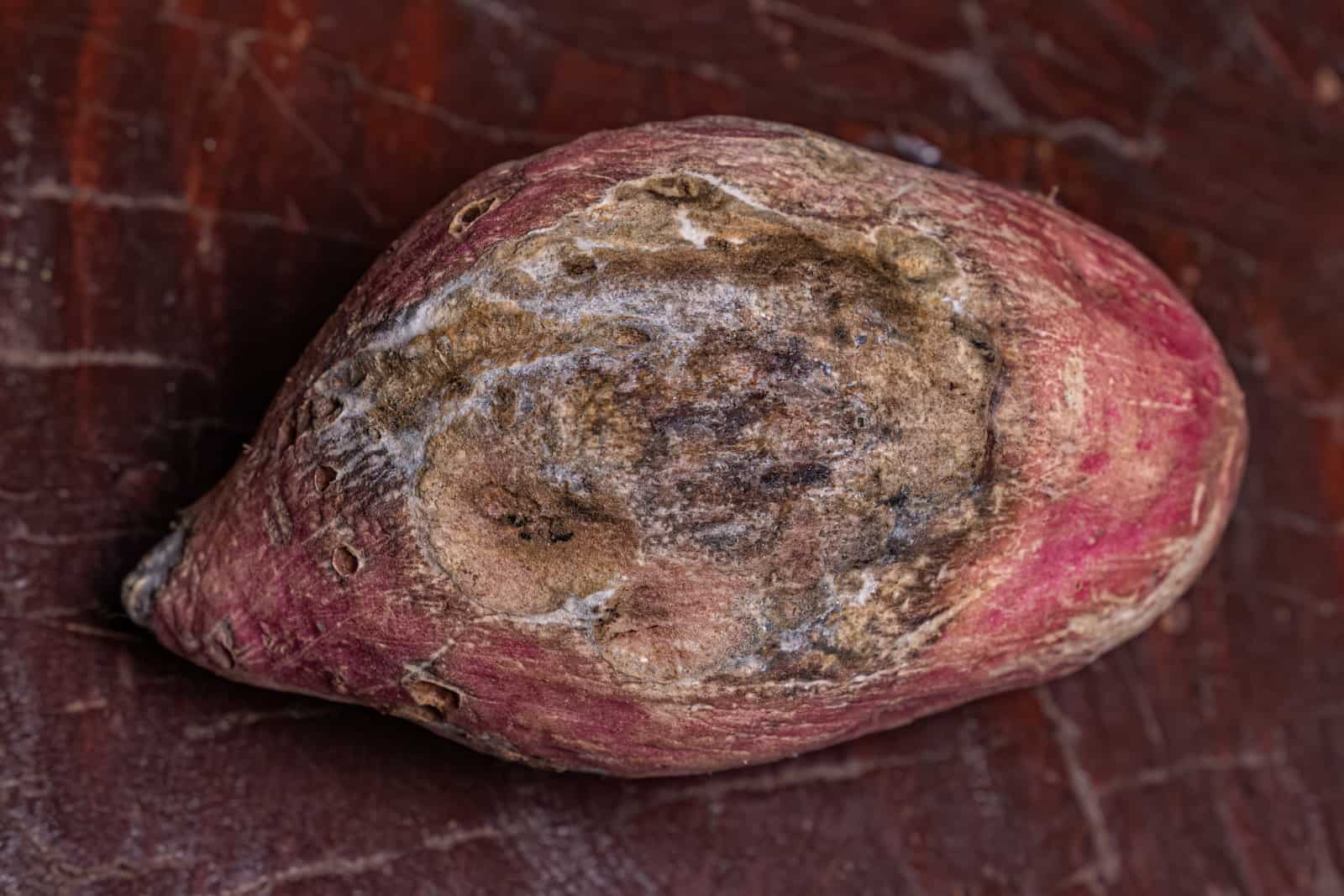 Images of Bad Sweet Potatoes