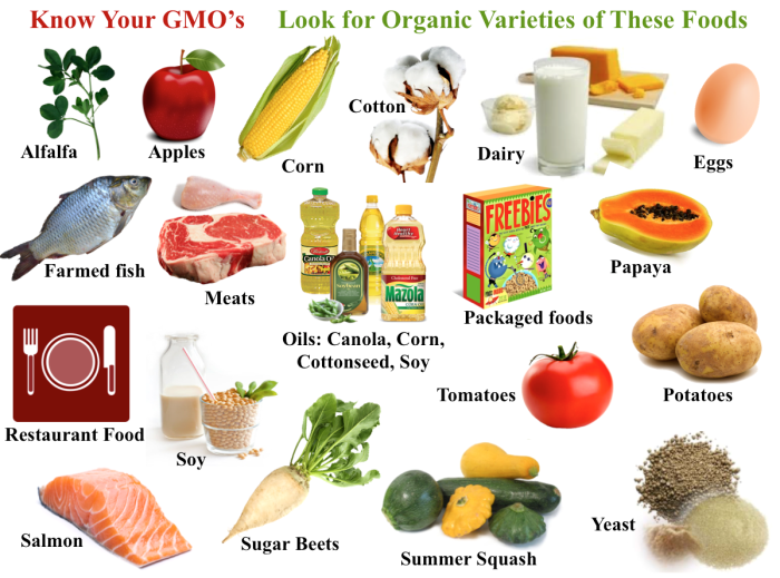 What Is a Non Gmo Diet