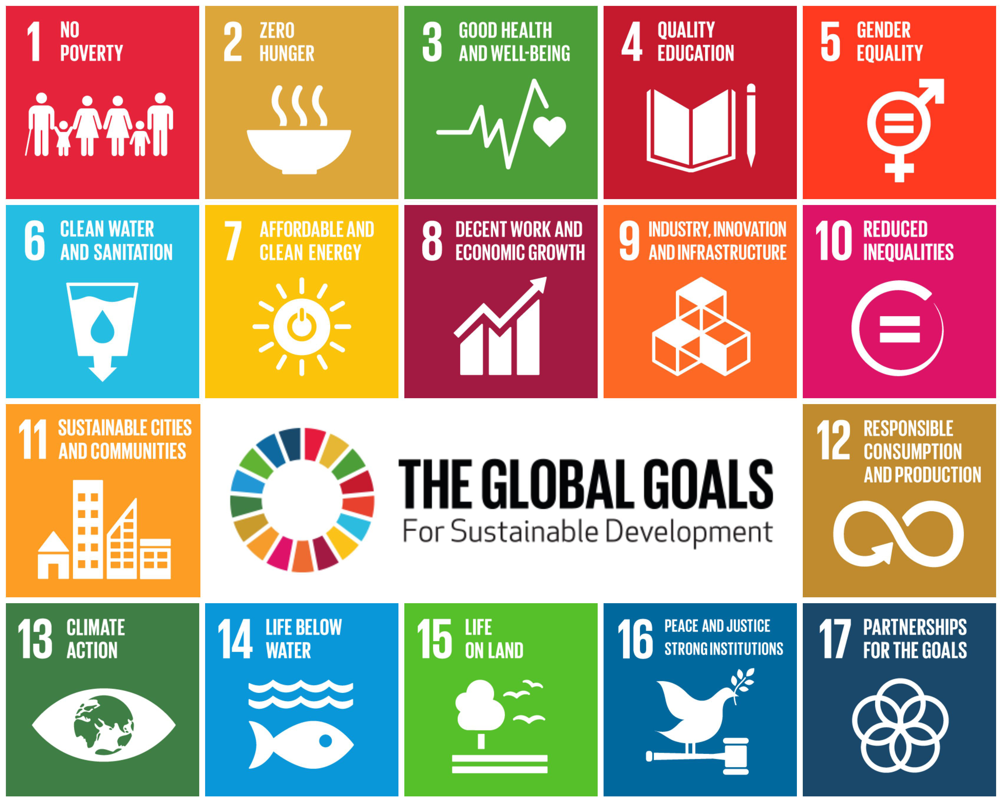 What Are the Sustainable Development Goals Sdgs