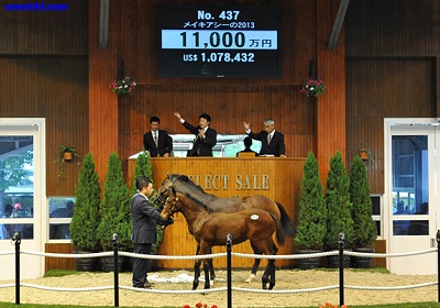 【競馬マネー】伝説の4000万円から何が変わった？「ディープ インパクト 種付け 料」が日本のサラブレッドビジネスに残した爪痕と2026年の現実