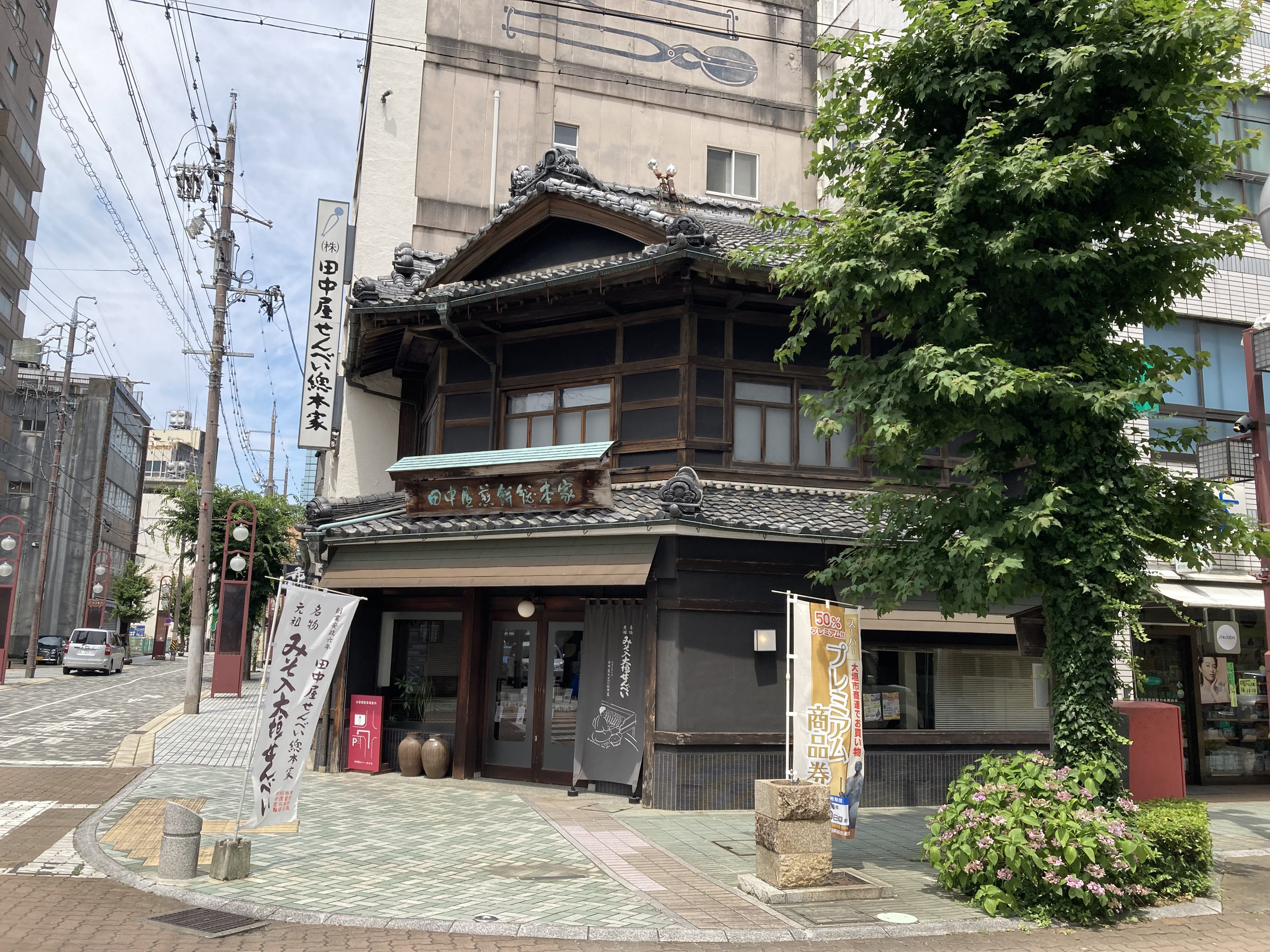 田中屋せんべい総本家の評判は？伝統の硬さと進化系まつほを徹底解明