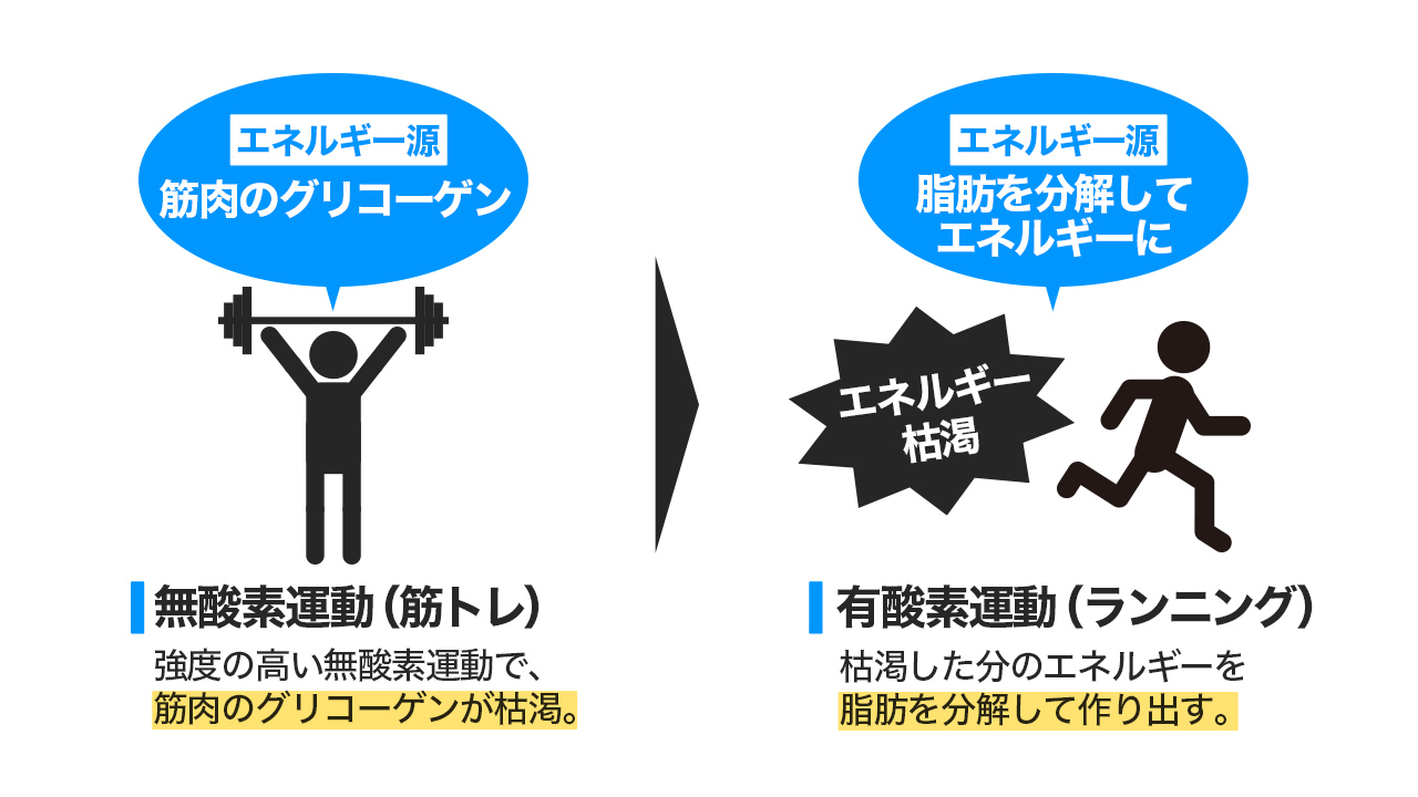 有酸素運動と無酸素運動の違いを徹底比較！脂肪が燃える順番の真実