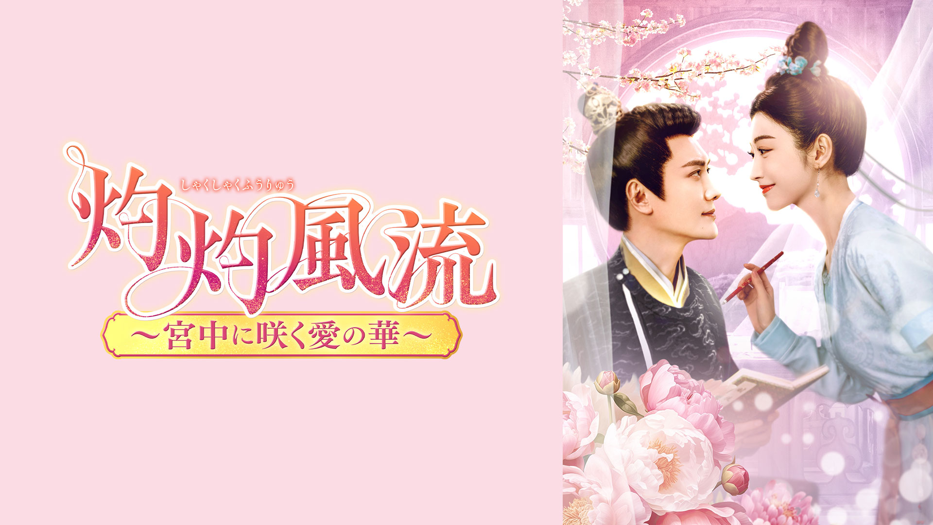 Bs11中国ドラマ2026年最新ガイド！時代劇の名作から見逃し配信まで