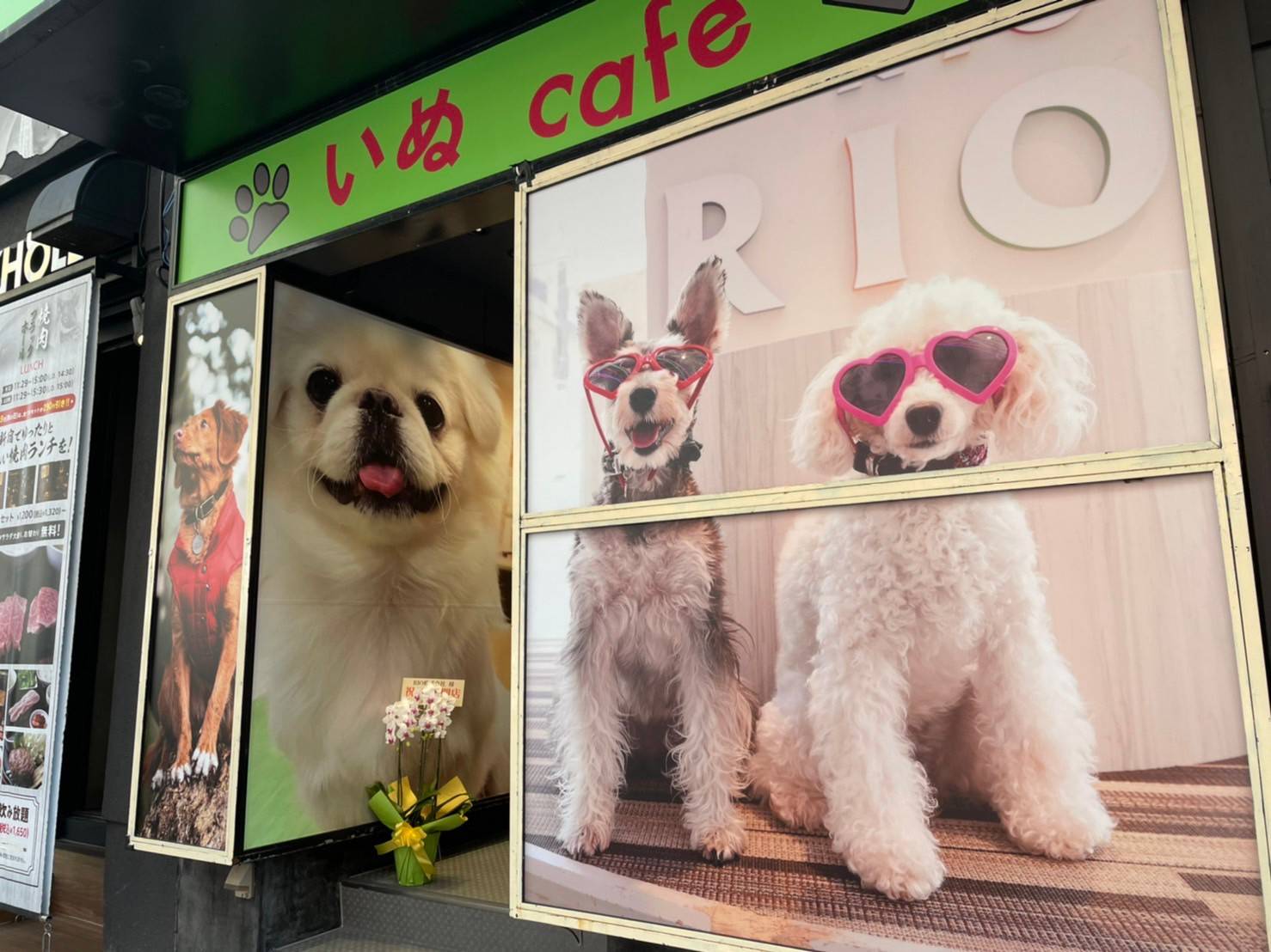 新宿の犬カフェ決定版【2026年最新】ふれあい＆同伴人気店と料金比較