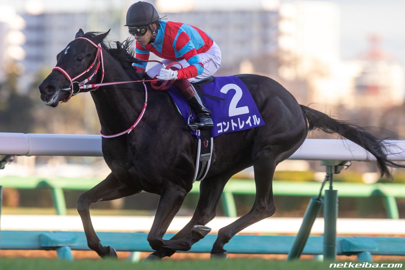 砂の王者レモンポップの全貌！引退理由と種牡馬の現在・強さの秘密