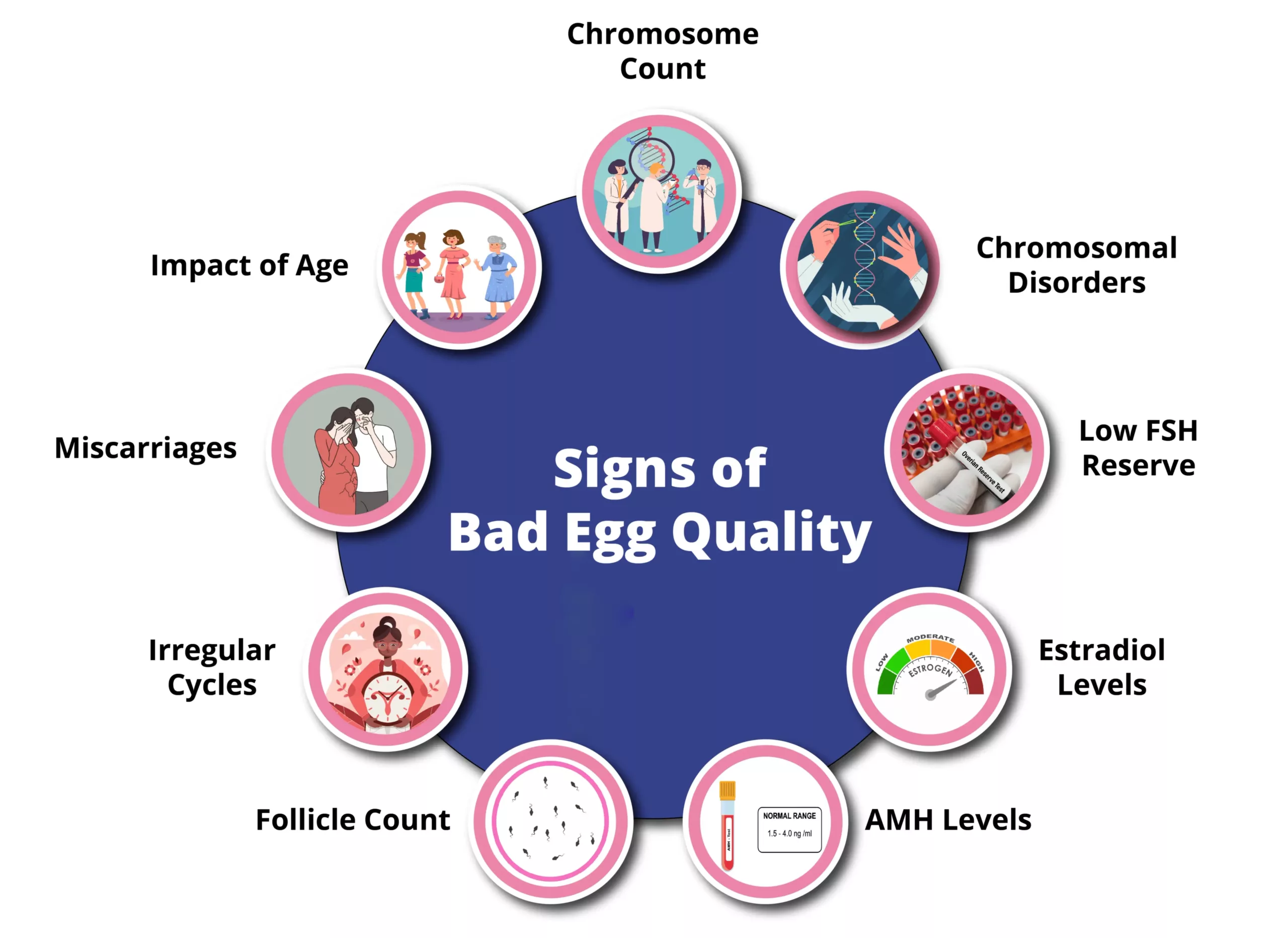 Eating Bad Eggs Symptoms
