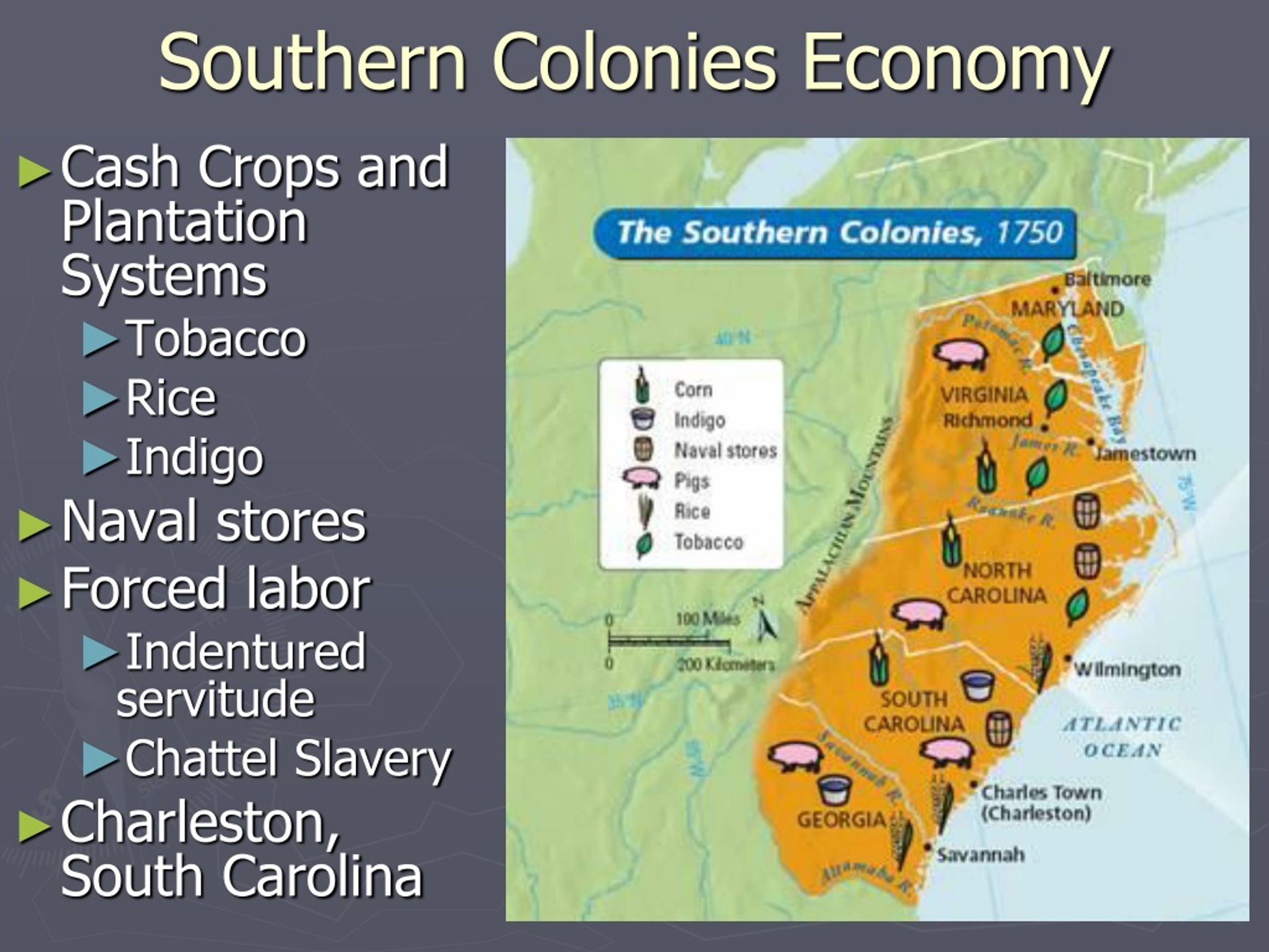 Major Economic Activities in the Southern Colonies