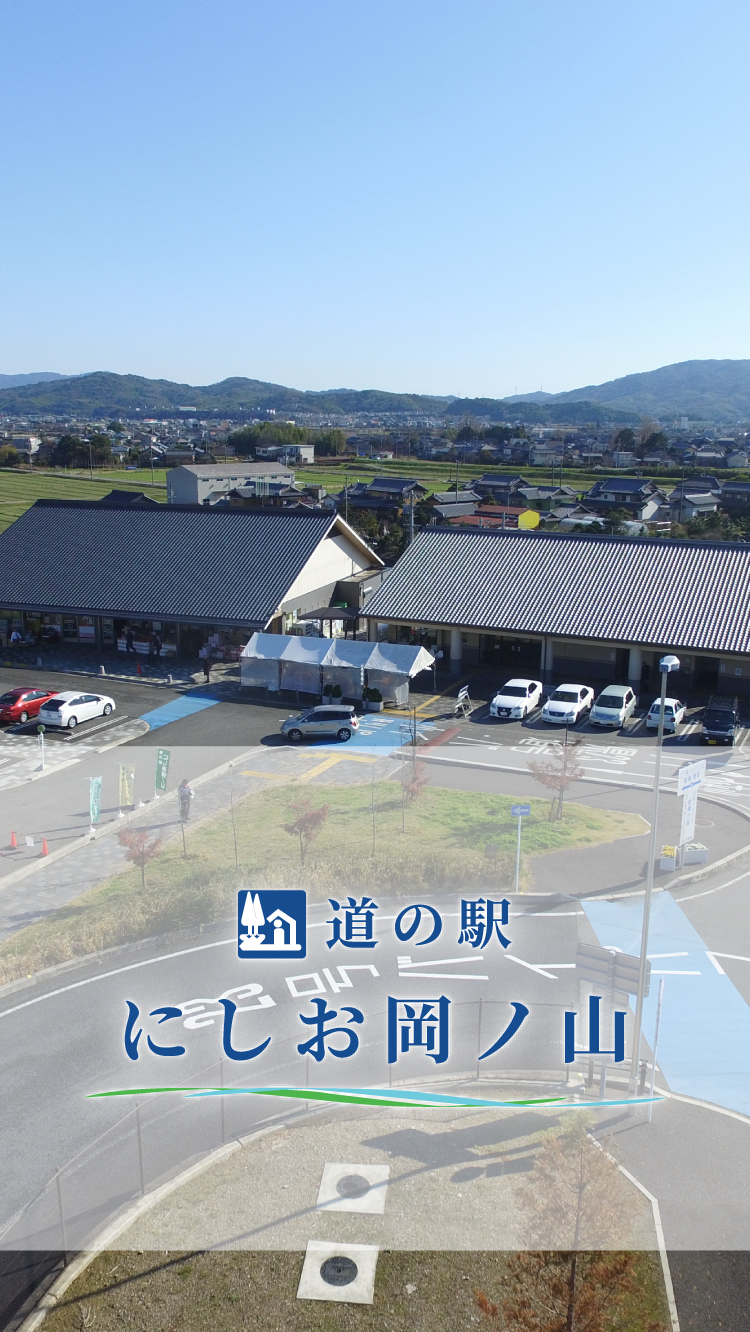 西尾抹茶スイーツと限定穴場土産を独占取材！道の駅にしお岡ノ山