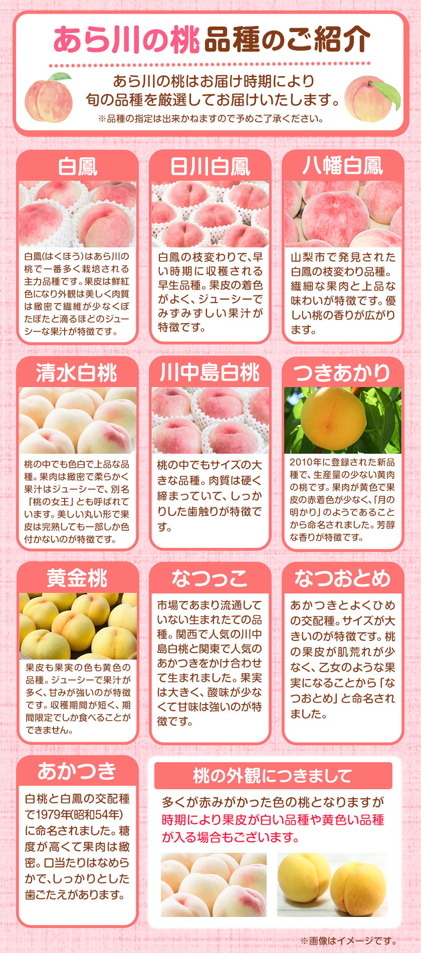 荒川の桃の時期はいつ？2026年出荷カレンダーと直売所完売回避術