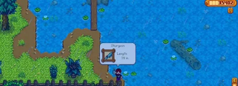 How to Get Sturgeon Stardew Valley
