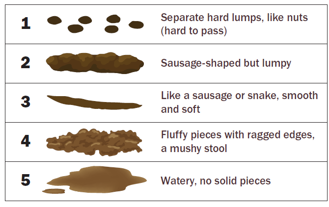 What Happens When You Poop