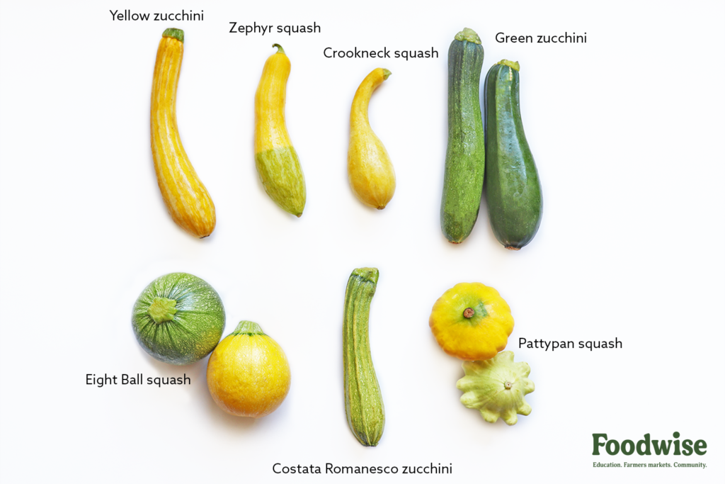 Is Zucchini a Type of Squash