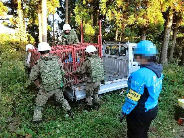 熊被害になぜ自衛隊は出動しない？駆除できない法的壁と演習場の実態
