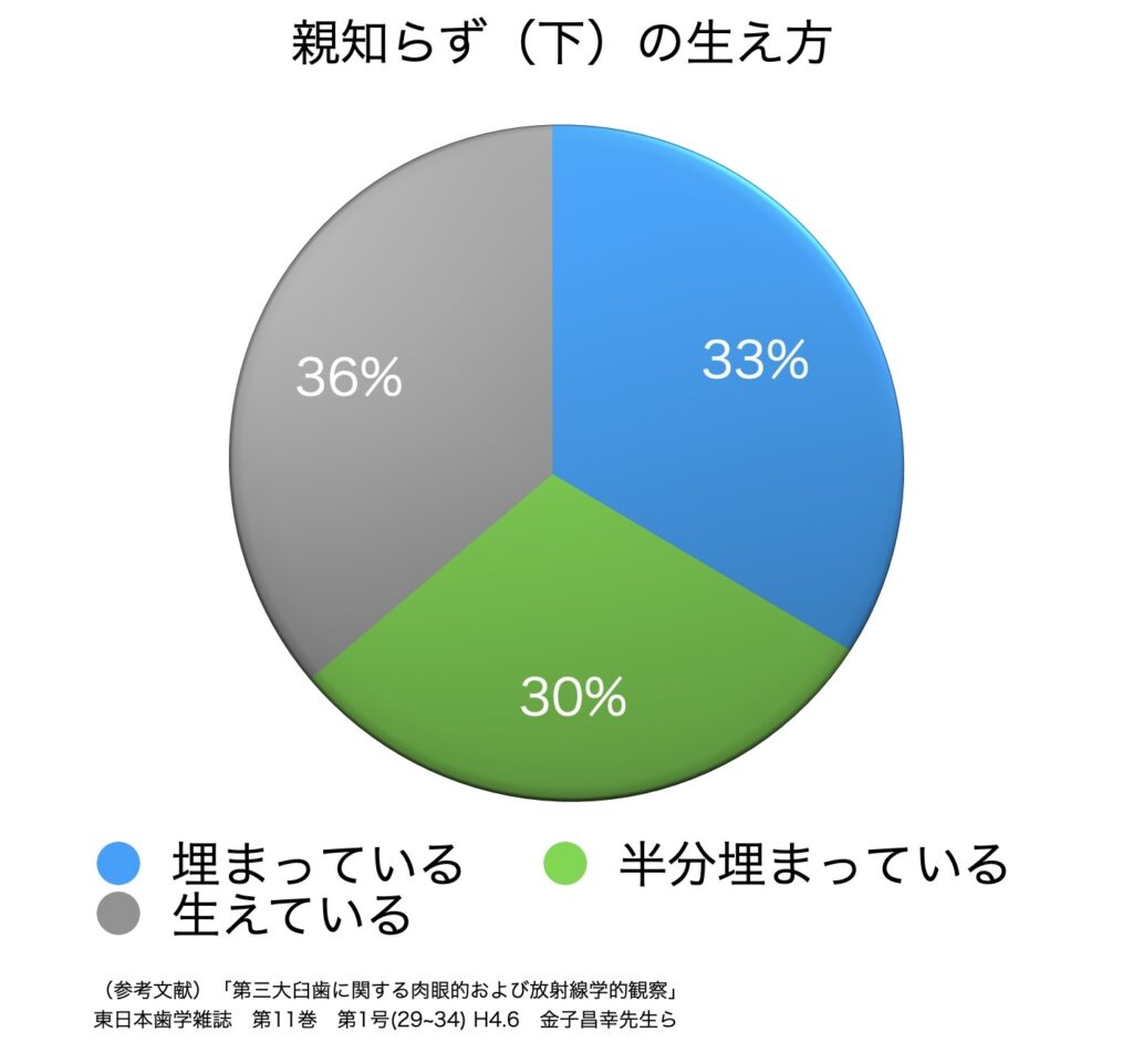 親知らずを抜かない人の割合は3割？放置リスクと抜かなくていい条件