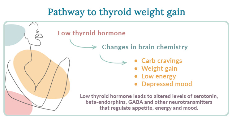 How Much Weight Do You Gain with Hypothyroidism