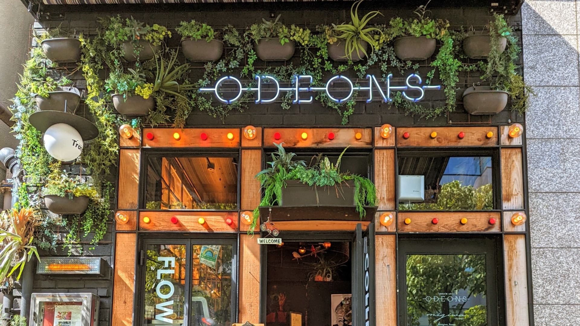 【2026年版】六本木カフェ総力特集！穴場・夜デート・作業席の真相