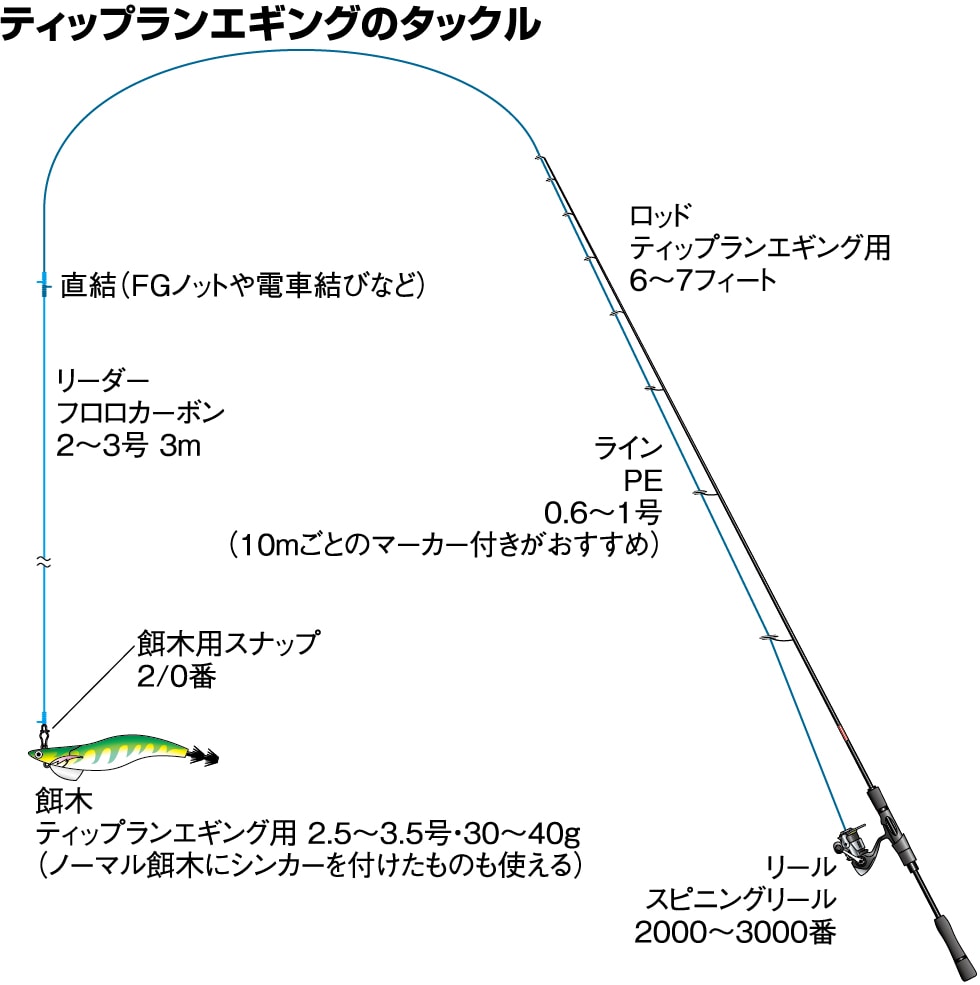 ティップランとは？通常エギングとの違いと釣れる極意【2026最新】