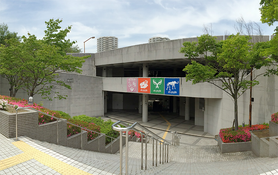 【2026年最新】池袋うどんの真髄！行列必至の名店と深夜の隠れ家