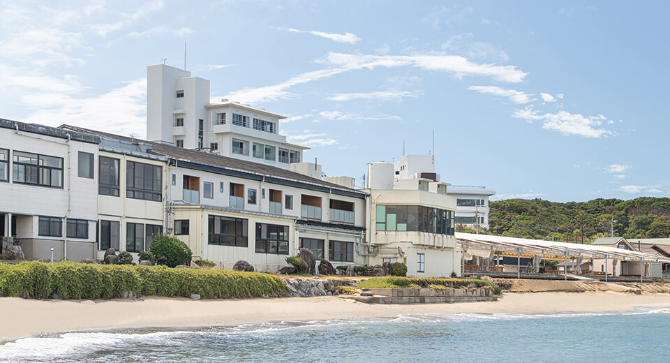 宗像・玄海旅館の口コミ評判を徹底調査！活イカと絶景の魅力を解剖