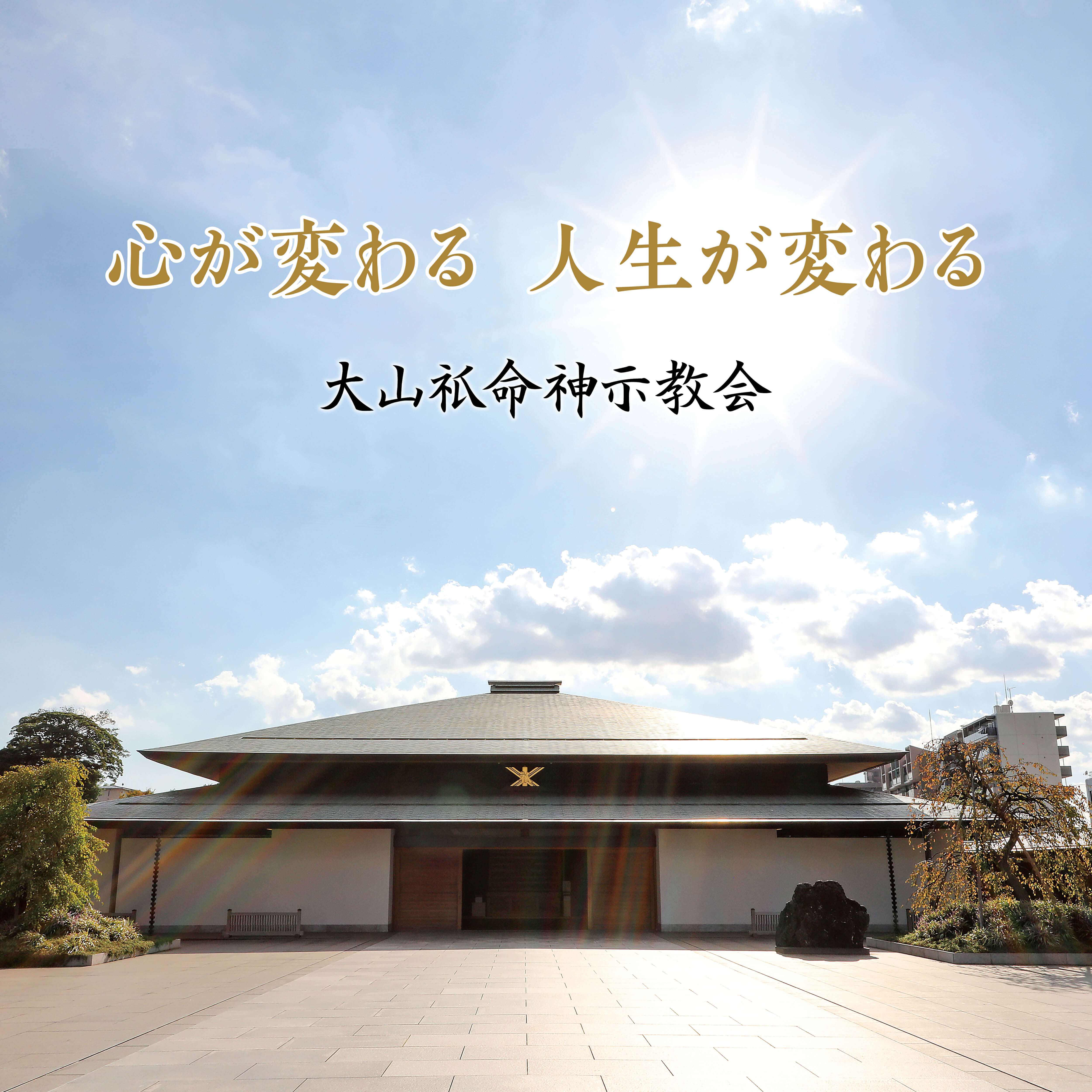 ゆずと大山ねずの命神示教会の真相｜噂の背景と新団体設立を徹底追う